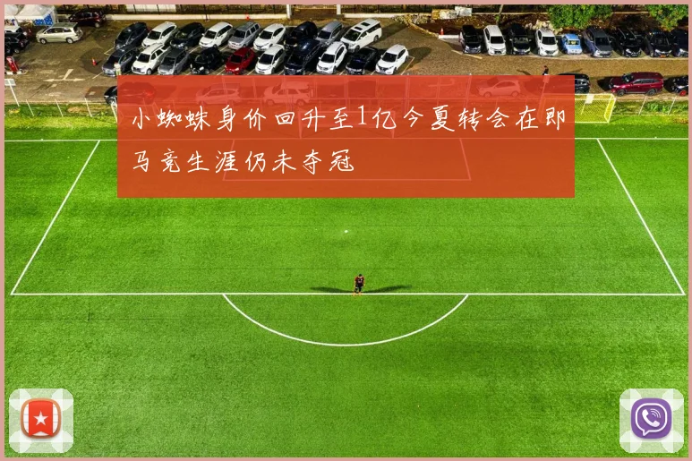 小蜘蛛身价回升至1亿今夏转会在即马竞生涯仍未夺冠