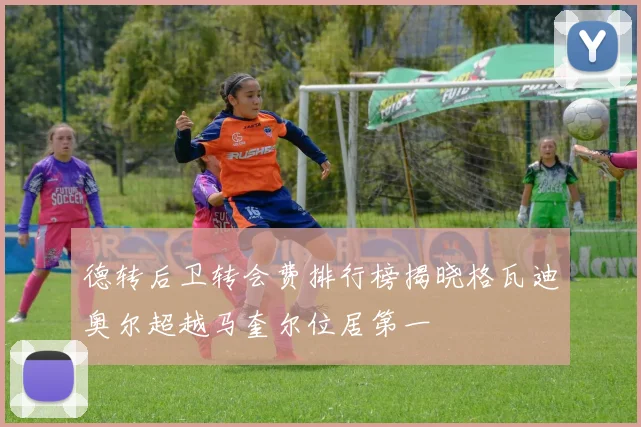 德转后卫转会费排行榜揭晓格瓦迪奥尔超越马奎尔位居第一